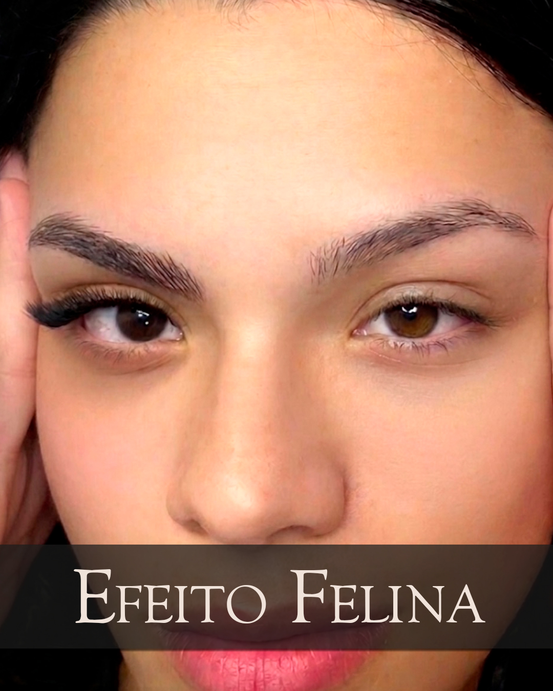 Efeito Felina 01
